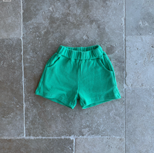 Load image into Gallery viewer, Carnival Shorts
