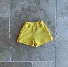 Load image into Gallery viewer, Carnival Shorts